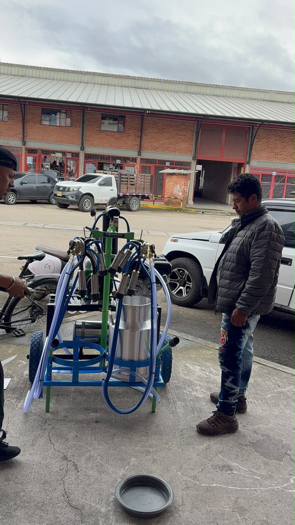 Entrega y revisión de un Twin Car en la fábrica de Siberia — foto real — foto real