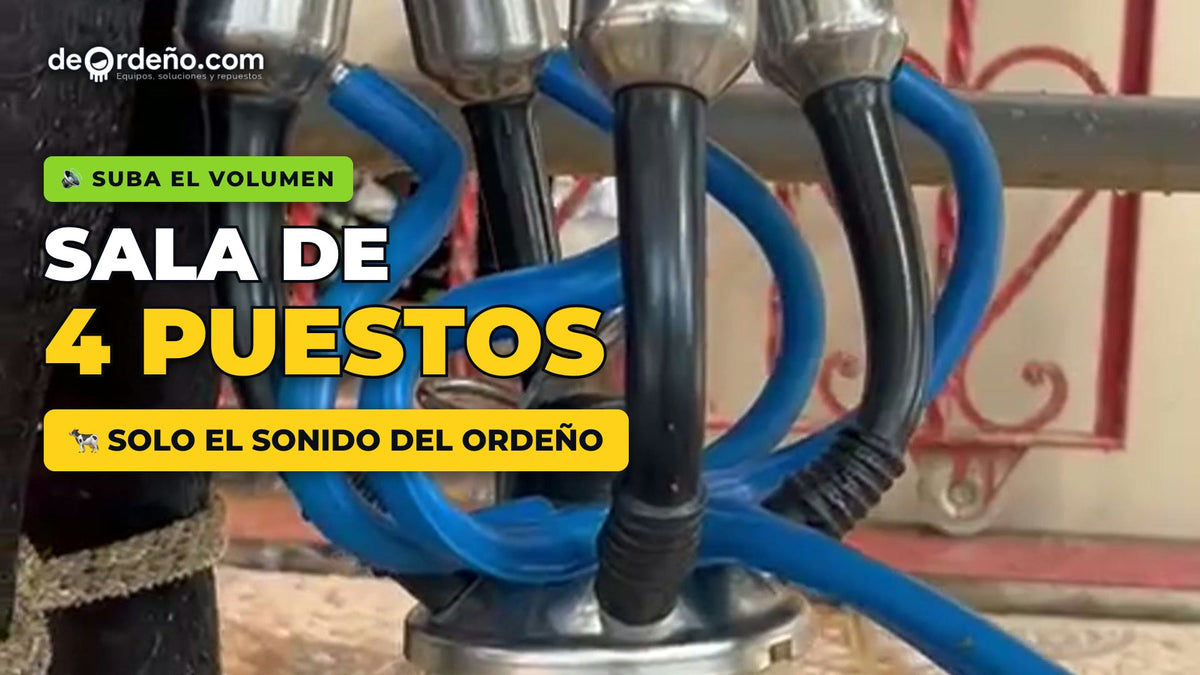 Equipo de ordeño portátil o sala fija: cuándo dar el paso
