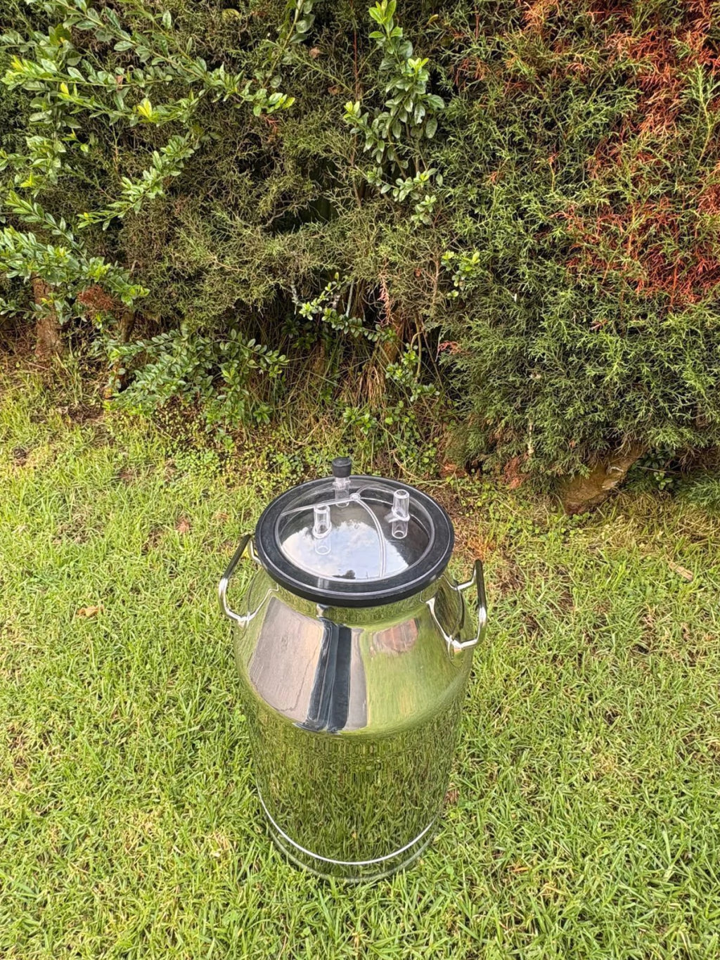 Cantina lechera de 40 litros en acero inoxidable con tapa