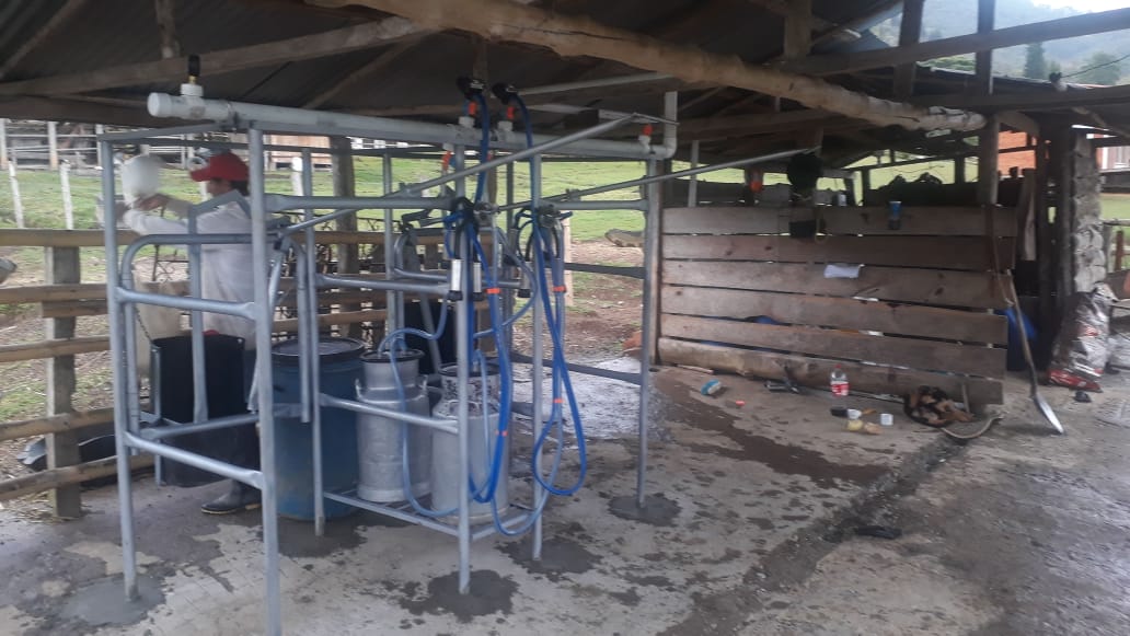 Equipo de Ordeño Fijo para Vacas 🐄🐄🐄 + OBSEQUIOS + PAGUE AL RECIBIR 🚚