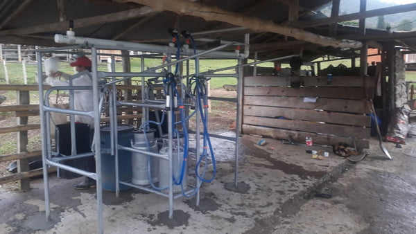 Equipo de ordeño fijo instalado en establo de madera con vista al potrero — foto real