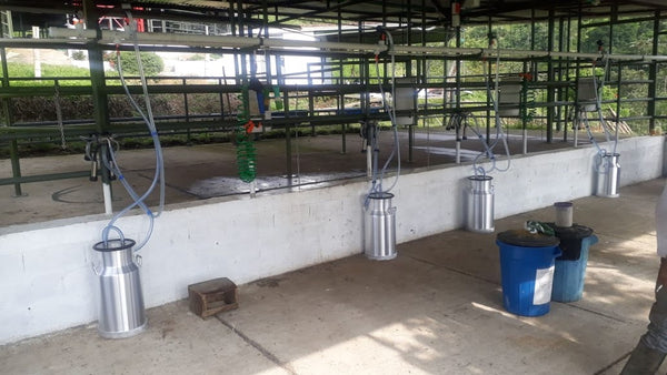 Sala de ordeño fija en concreto con varias unidades y cantinas — foto real
