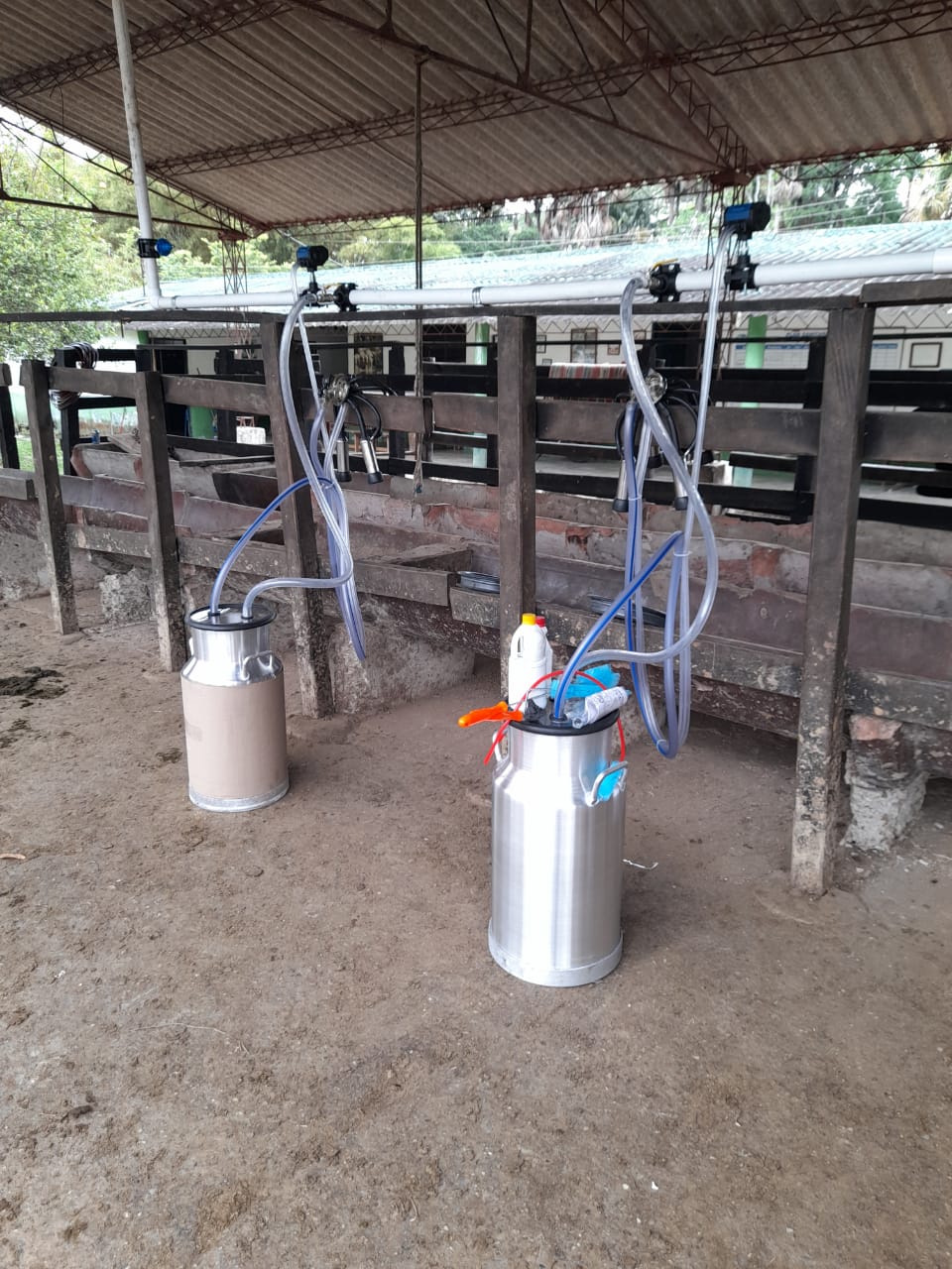 Equipo de Ordeño Fijo para Vacas 🐄🐄🐄 + OBSEQUIOS + PAGUE AL RECIBIR 🚚