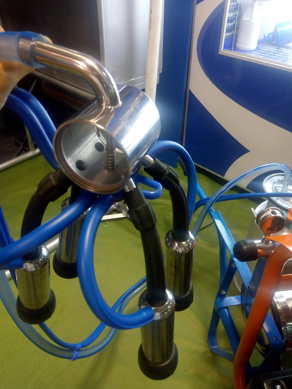 Colector en acero inoxidable montado en un equipo de ordeño con pezoneras y mangueras — foto real