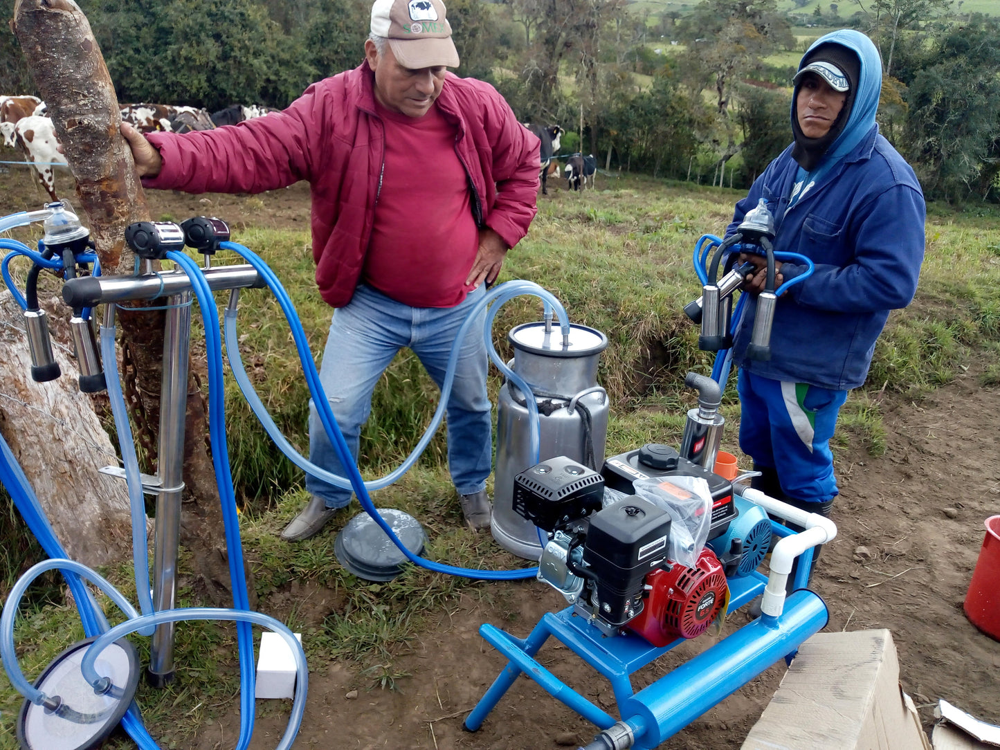 Equipo de Ordeño de Angarilla o Estacionario 🐄🐄 - 1 y 2 puestos + OBSEQUIOS + PAGUE AL RECIBIR 🚚