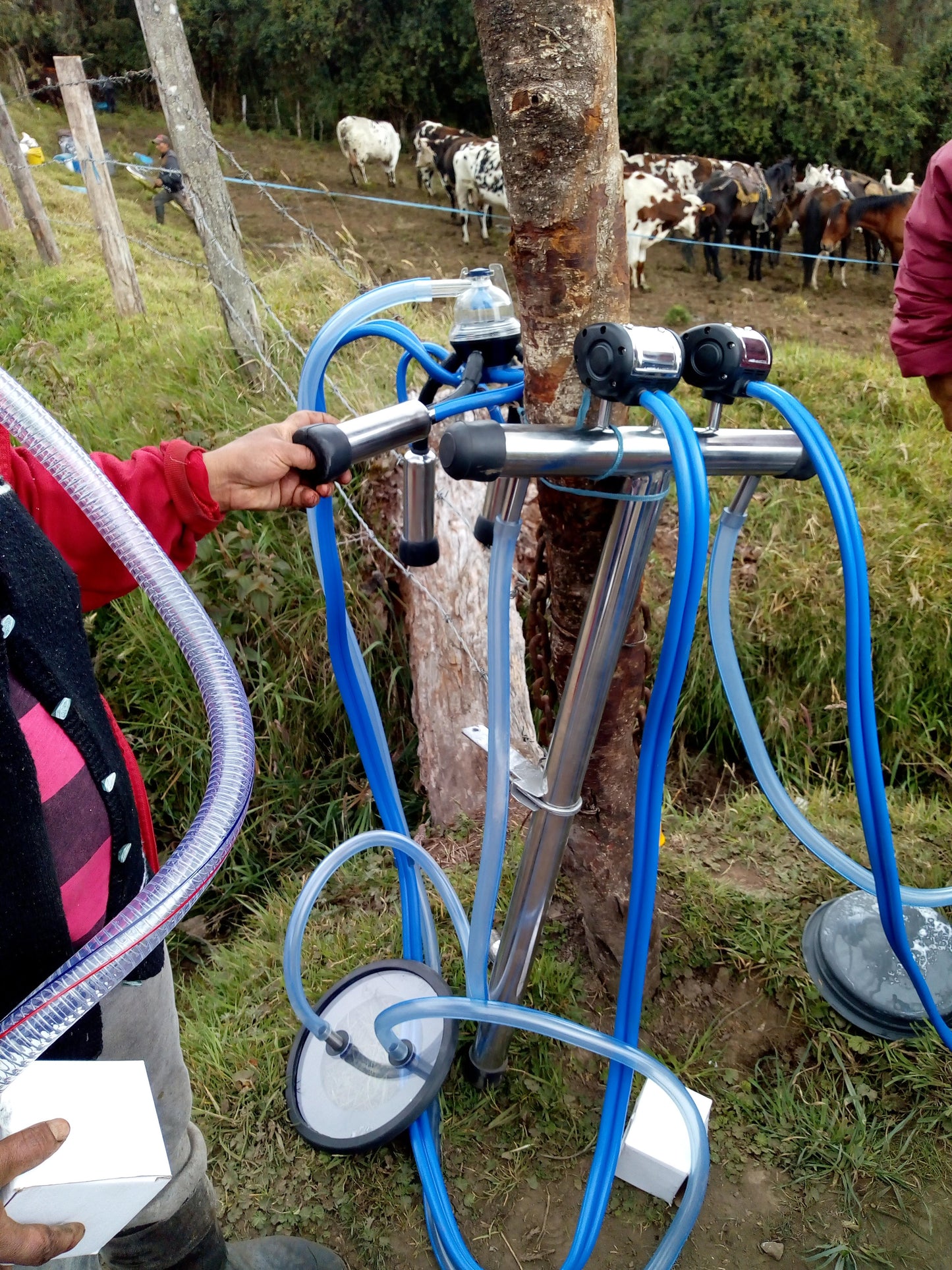 Equipo de Ordeño de Angarilla o Estacionario 🐄🐄 - 1 y 2 puestos + OBSEQUIOS + PAGUE AL RECIBIR 🚚