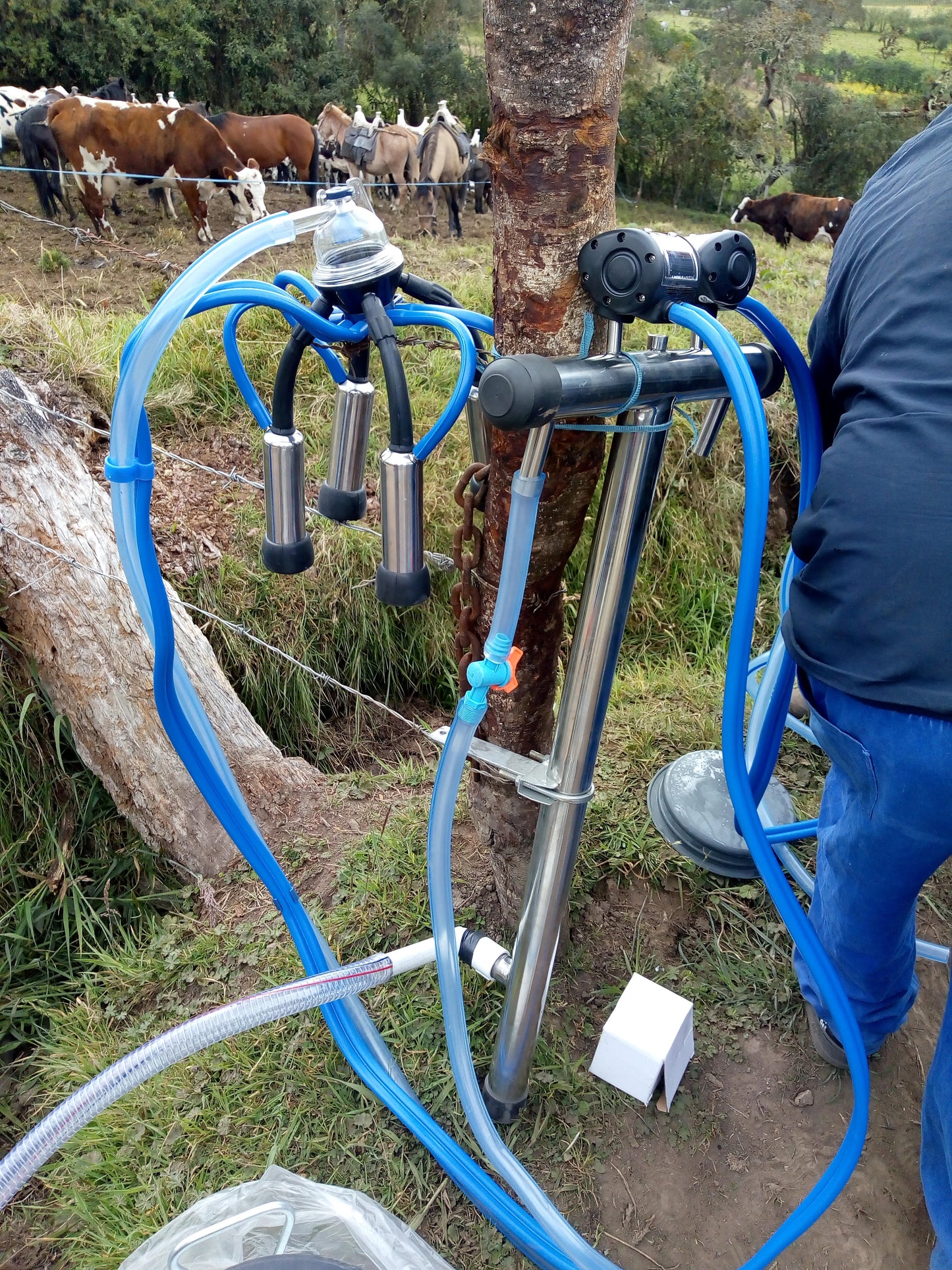 Equipo de Ordeño de Angarilla o Estacionario 🐄🐄 - 1 y 2 puestos + OBSEQUIOS + PAGUE AL RECIBIR 🚚