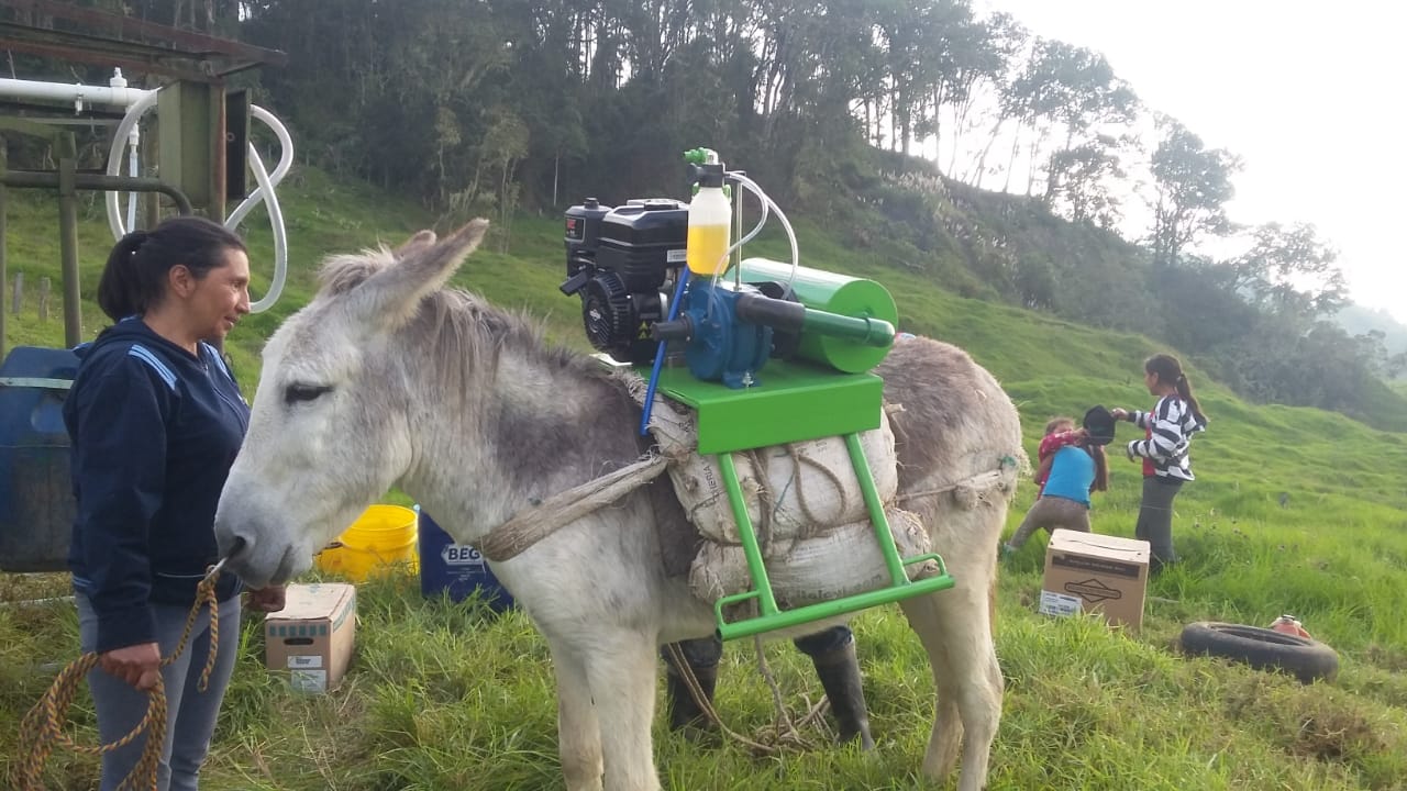 Equipo de Ordeño de Angarilla o Estacionario 🐄🐄 - 1 y 2 puestos + OBSEQUIOS + PAGUE AL RECIBIR 🚚