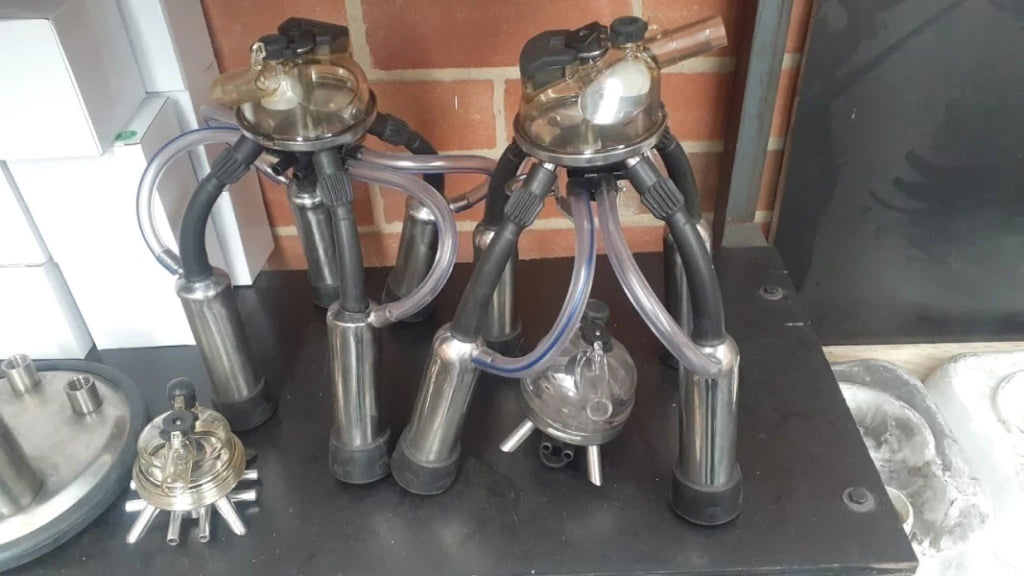 Colector Classic 300 con sus cuatro casquillos y pezoneras