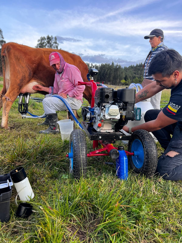 Primer ordeño asistido: un técnico de deOrdeño acompaña a los dueños mientras ordeñan con el Ecomilk Pro — foto real