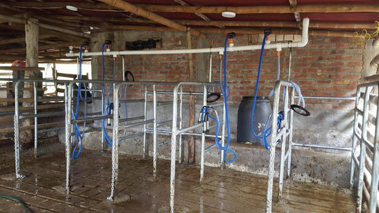 Sala de ordeño fija de 4 puestos con bomba de 1000 litros y motor mixto
