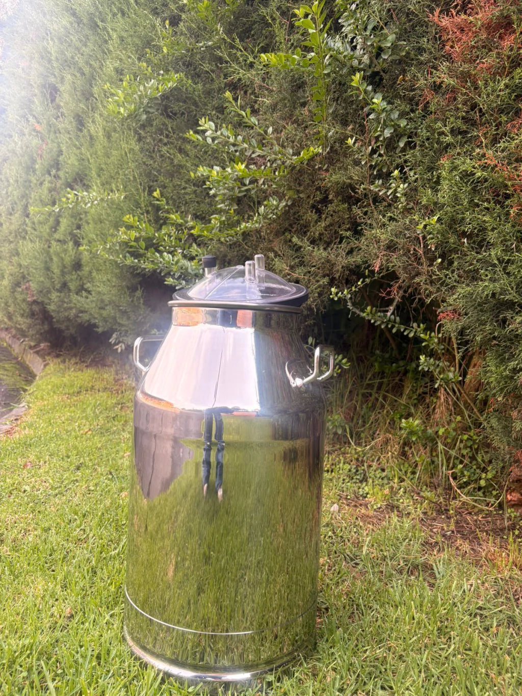Cantina lechera de 40 litros en acero inoxidable