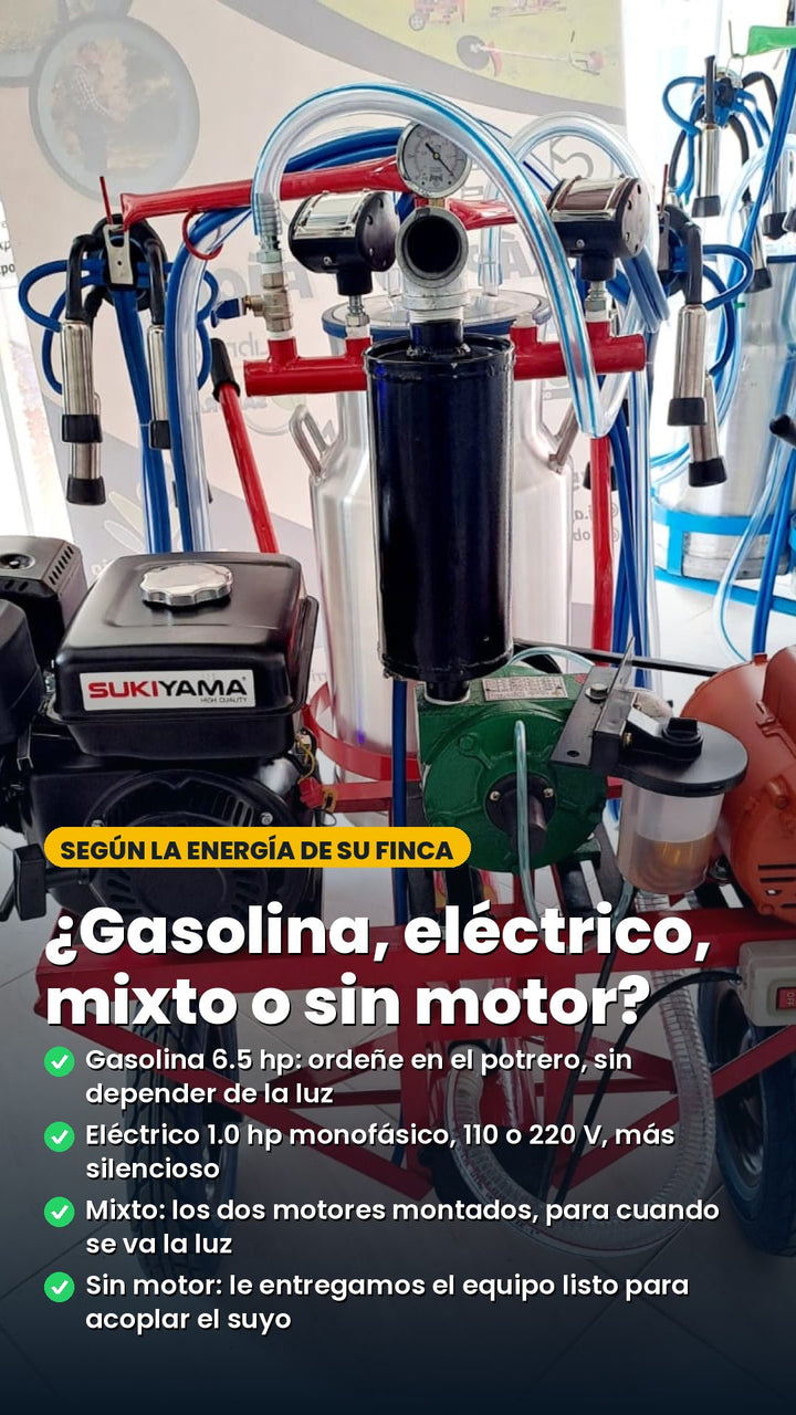 ¿Gasolina, eléctrico, mixto o sin motor? Gasolina 6.5 hp; eléctrico 1.0 hp monofásico 110 o 220 V; mixto con los dos motores; o sin motor, listo para acoplar el suyo