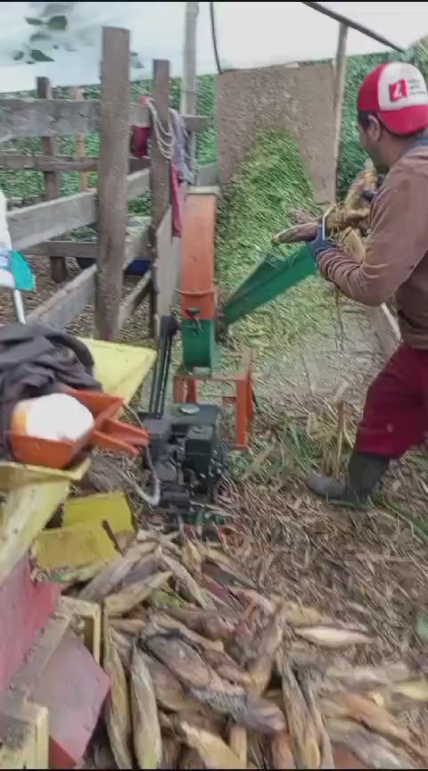 Picapasto MC-1 con motor a gasolina picando forraje en una finca