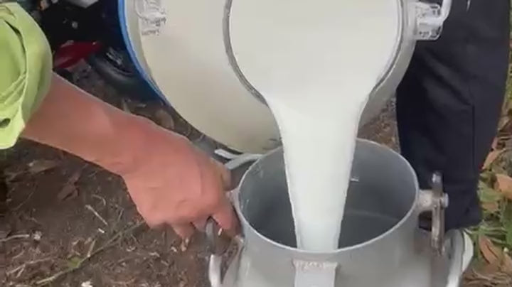 Vertiendo la leche de la cantina transparente medidora a una cantina de aluminio