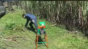 Video corto real: alimentando el Picapasto MC-J01 con forraje en un cañaduzal