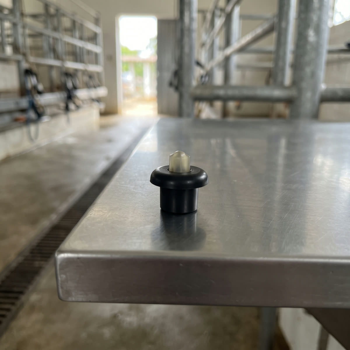 Respirador para colector DeLaval HC 150 en una sala de ordeño