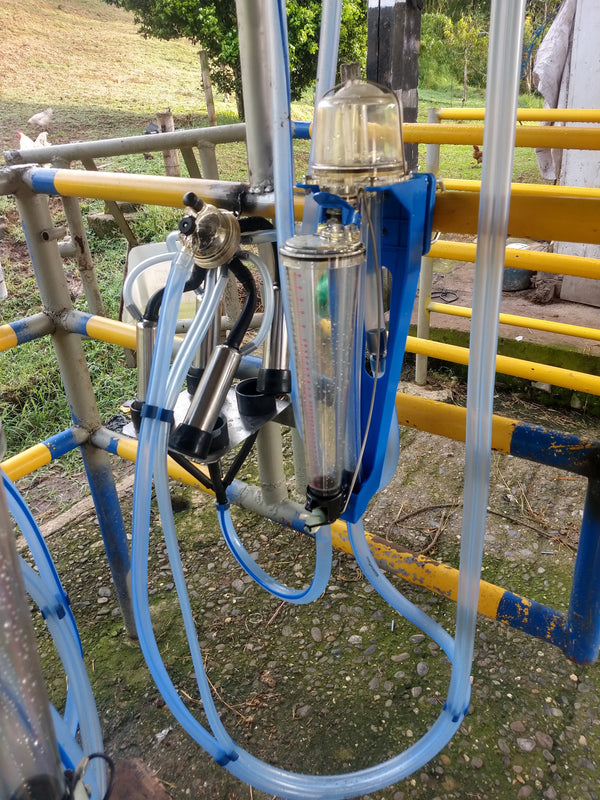 Medidor de leche proporcional en el puesto de ordeño, con las mangueras conectadas — foto real