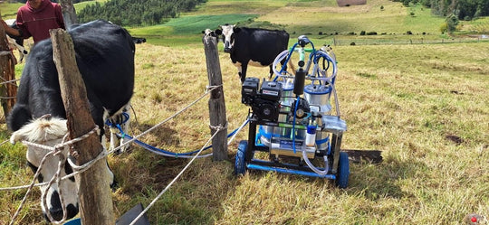 Twin Car con motor a gasolina ordeñando a campo abierto